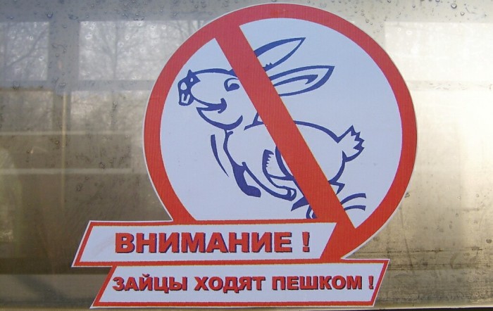зайцы