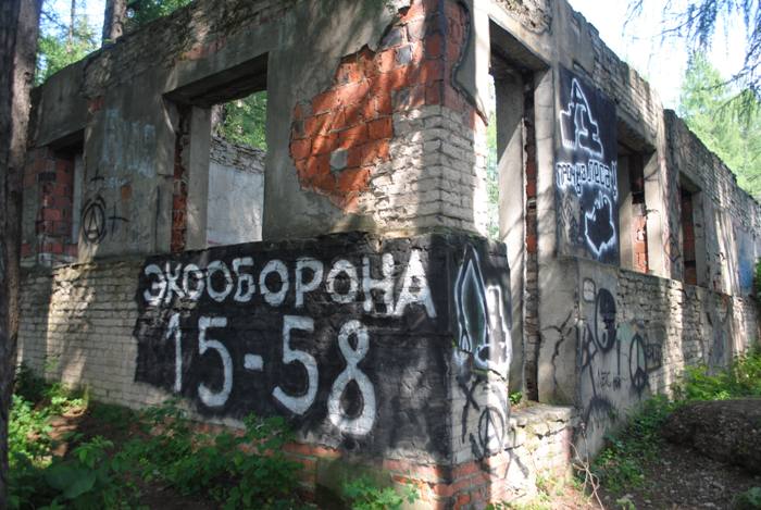 вырубка менделеевского леса