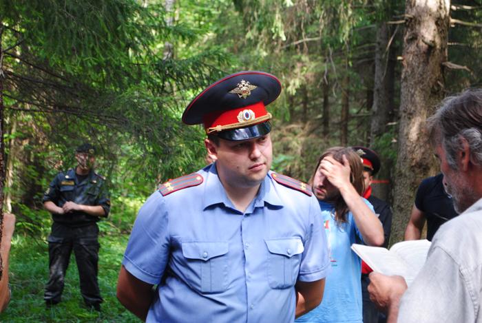 вырубка менделеевского леса