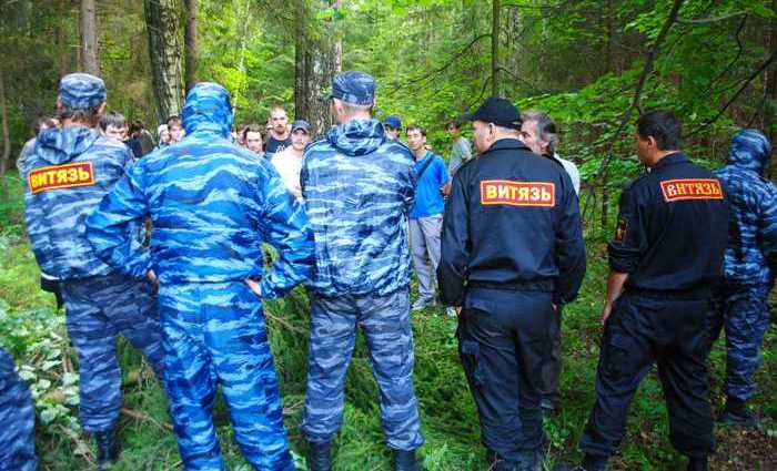 вырубка менделеевского леса