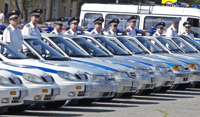 погоня за проститутками