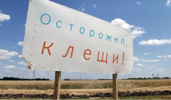 клещи атакуют жителей зеленограда