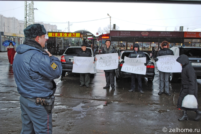 пикет стратегии 31 в зеленограде
