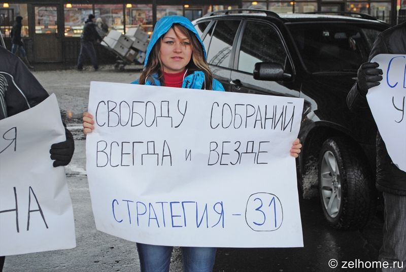 пикет стратегии 31 в зеленограде