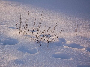 по горячим следам