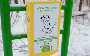 собачьи урны в лесу зеленограда