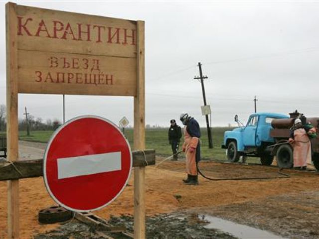 карантин